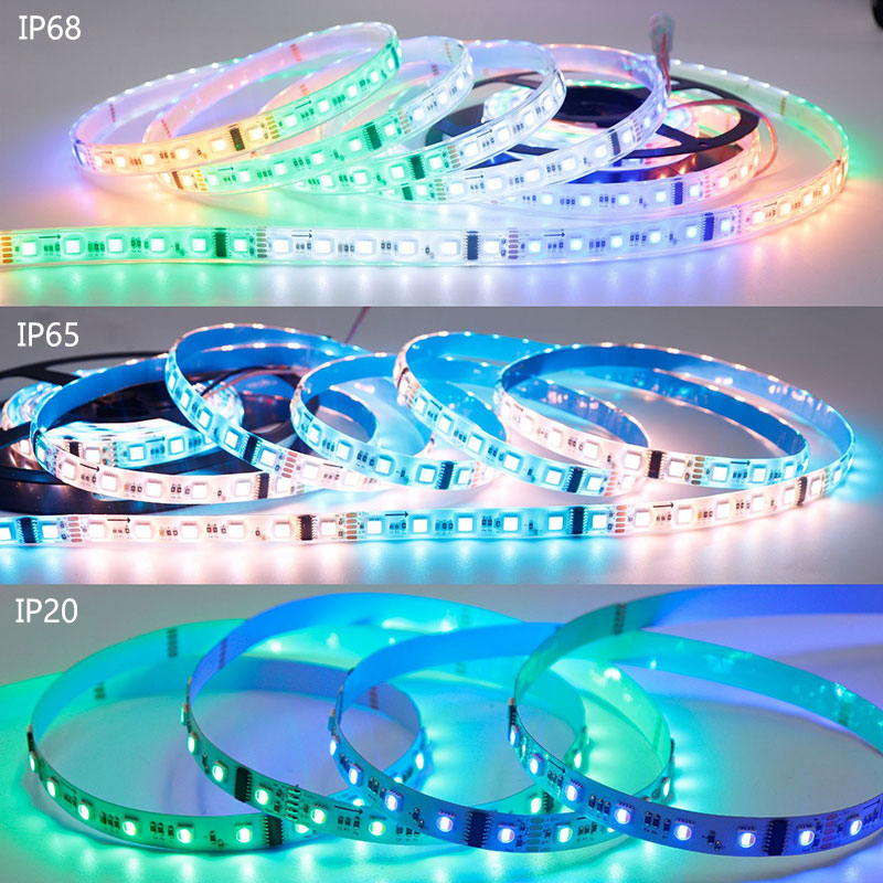 24V DMX 5in1 RGB+W+WW Digital LED Strip Light, Addressable RGB CCT, 60LEDs/m